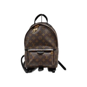 Louis Vuitton Palm Springs Backpack PM Monogram Rucksack